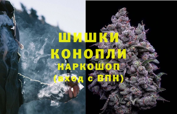 кокс Арсеньев