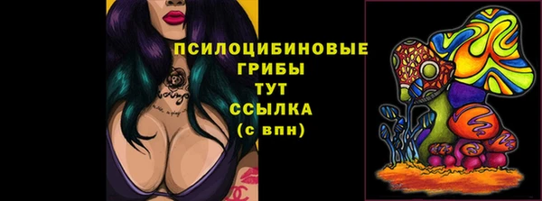 кокс Арсеньев