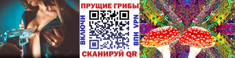 Псилоцибиновые грибы MAGIC MUSHROOMS  купить наркотик  MEGA зеркало  Татарск 