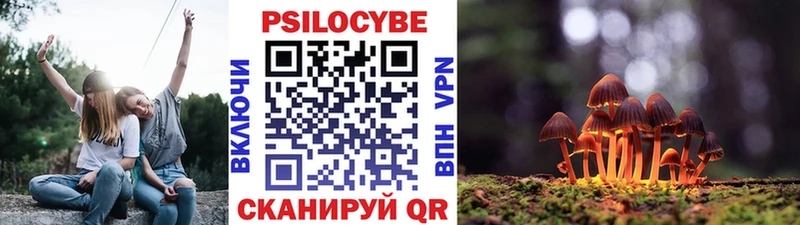 Псилоцибиновые грибы ЛСД Татарск
